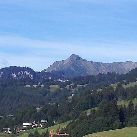 8 10 pers chalet just 700 meters outside Les Gets Extérieur photo