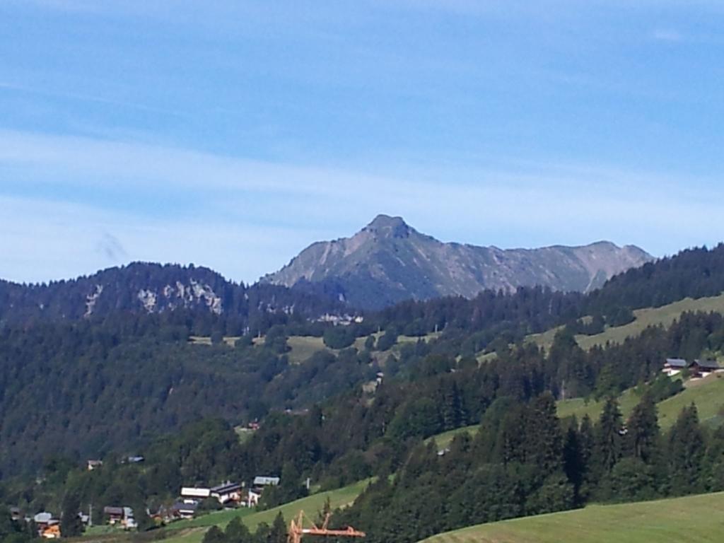 8 10 pers chalet just 700 meters outside Les Gets Extérieur photo